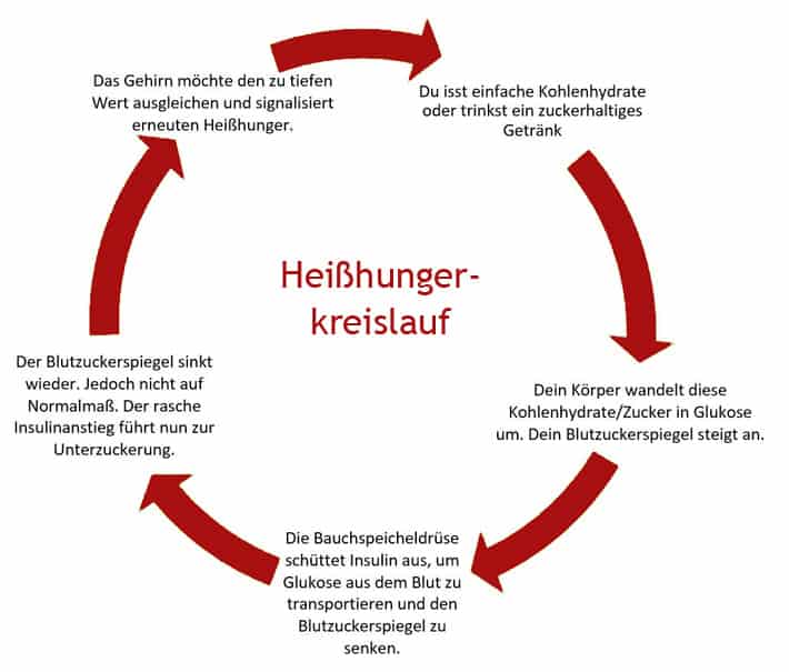 Heißhunger Kreislauf